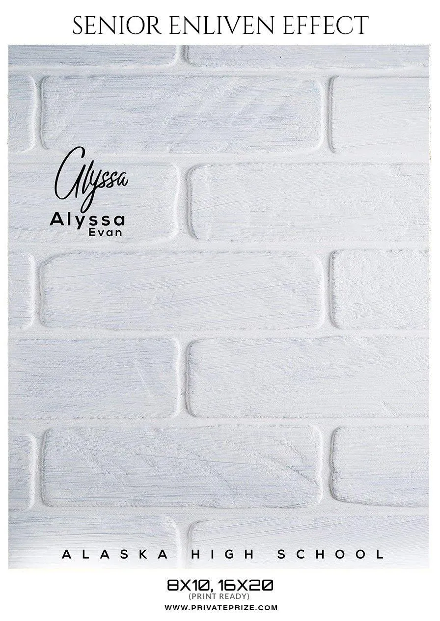 Alyssa Evan - Senior Enliven Effect Photography Template